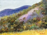 Comanche-Canyon-9x12 by Bob Bradshaw