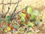 Ranch-Cactus-9x12 by Bob Bradshaw