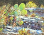 Tejas-Cactus-11x14 boy Bob Bradshaw