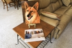 Painting on table easel