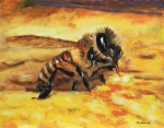 Taste of Honey 11x14 by Bob Bradshaw